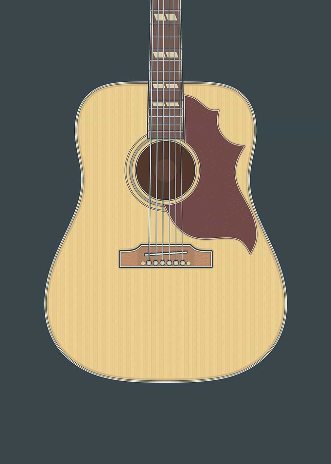 Acoustic Guitar
