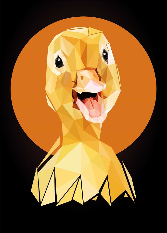 nursery animal ducks