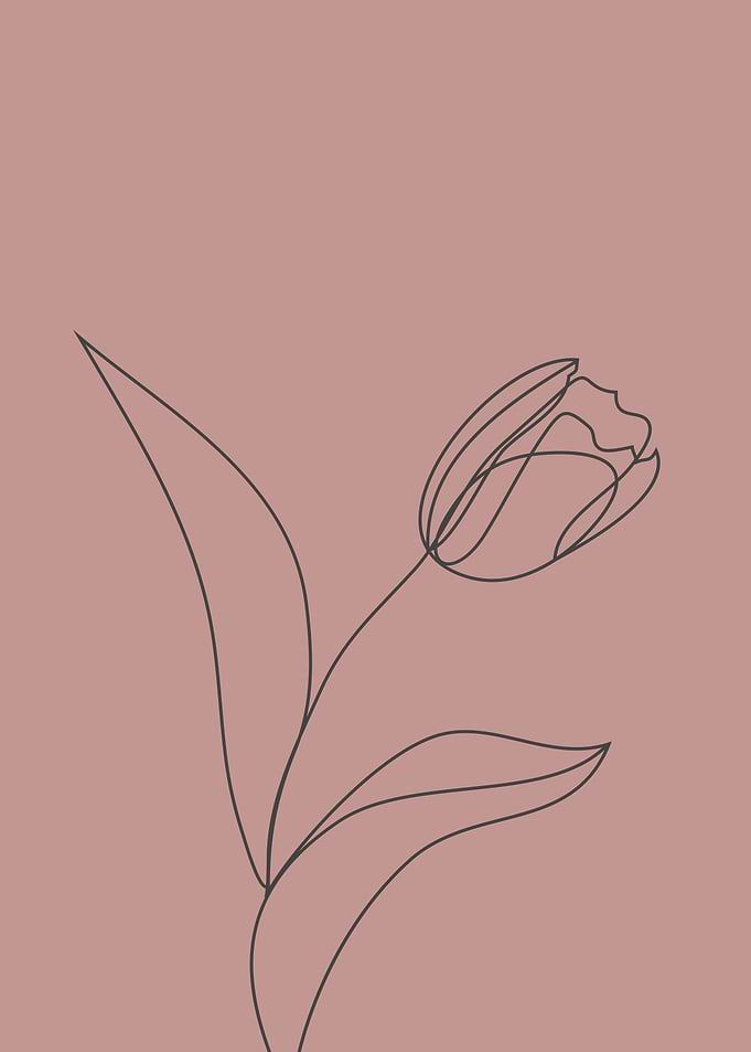 Tulip flower one line art