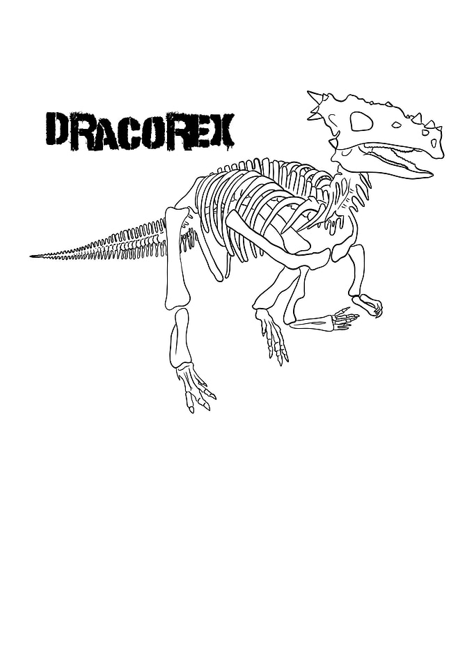 Dinosaurier Dracorex