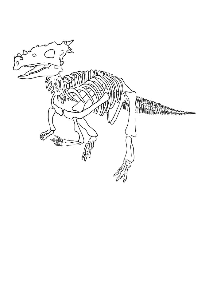 Dinosaurier Dracorex