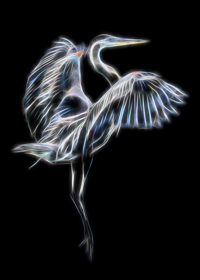 Dancing Heron