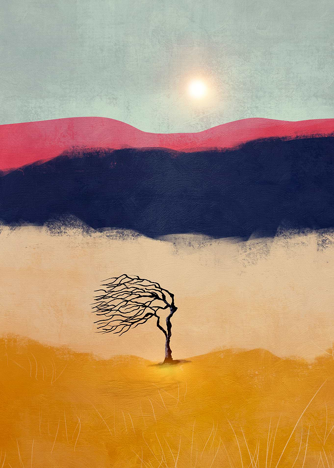 Sunset And The Tree