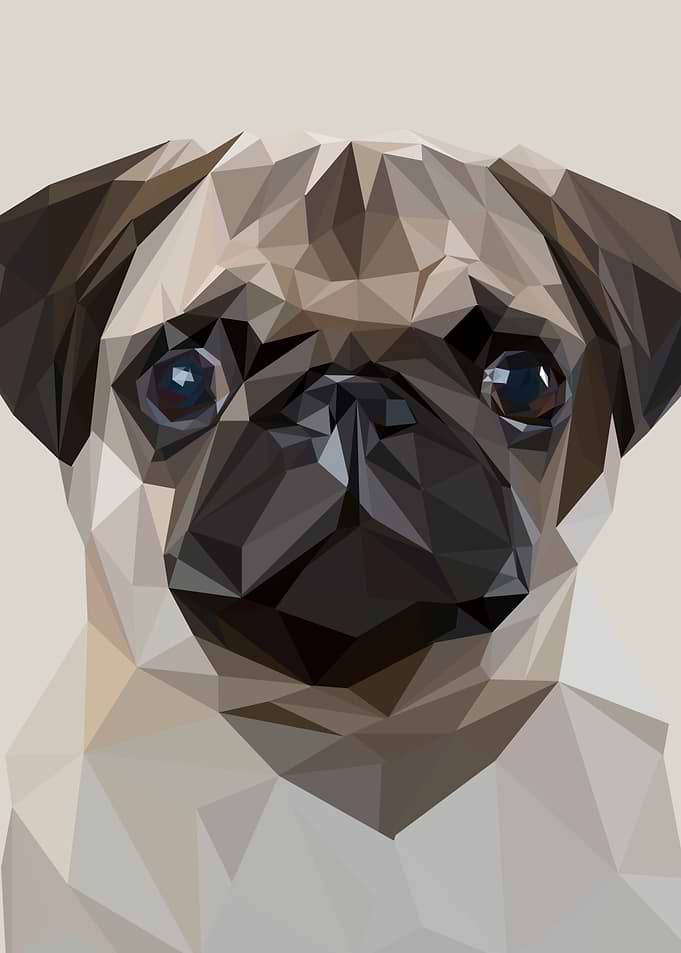 nursery animal dogs