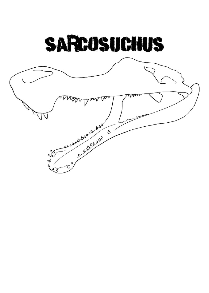Dinosaurier Sarcosuchus