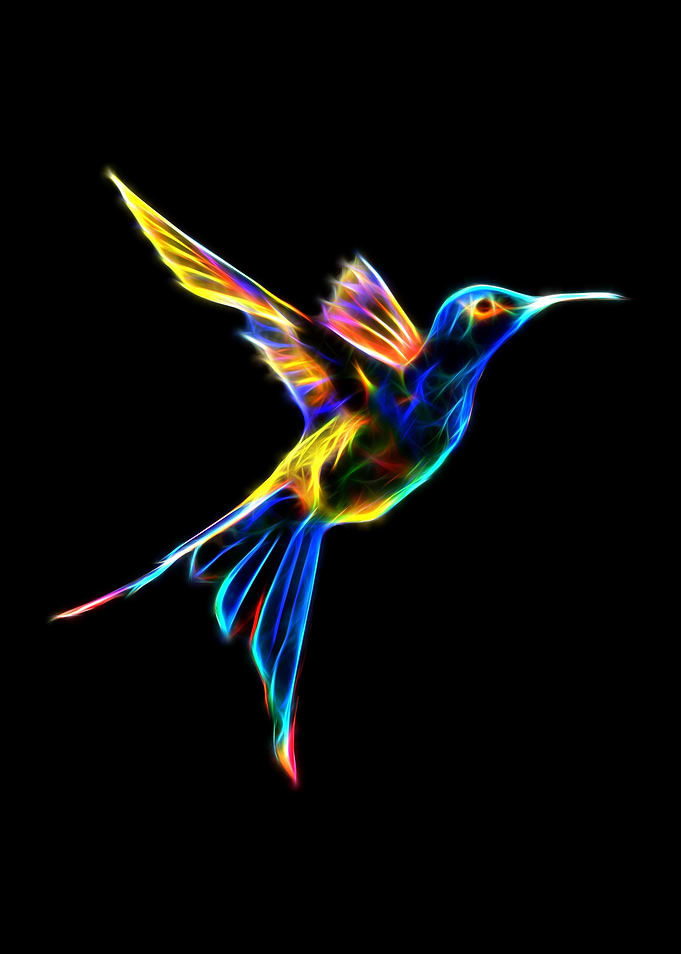 Abstract Hummingbird