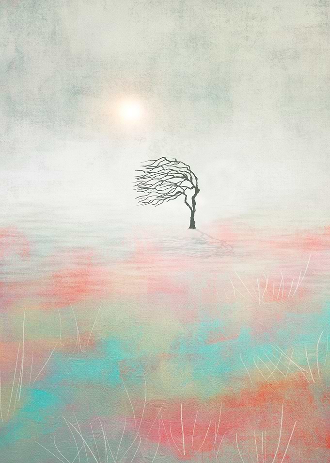 Sunset And The Tree 2
