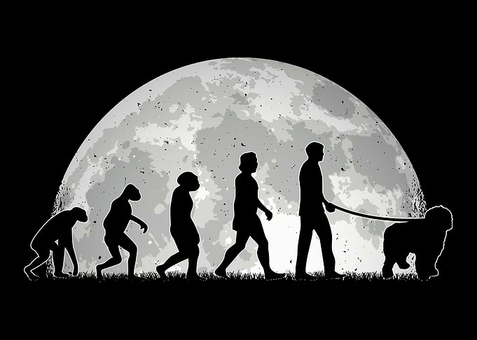 Bobtail Evolution Moon Old