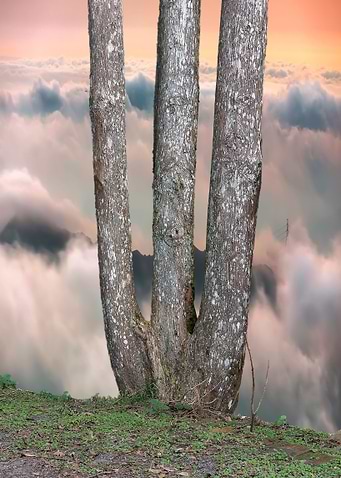 Sea of Clouds