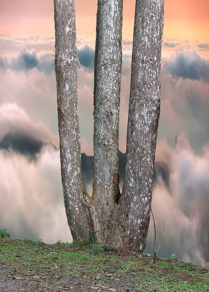 Sea of Clouds