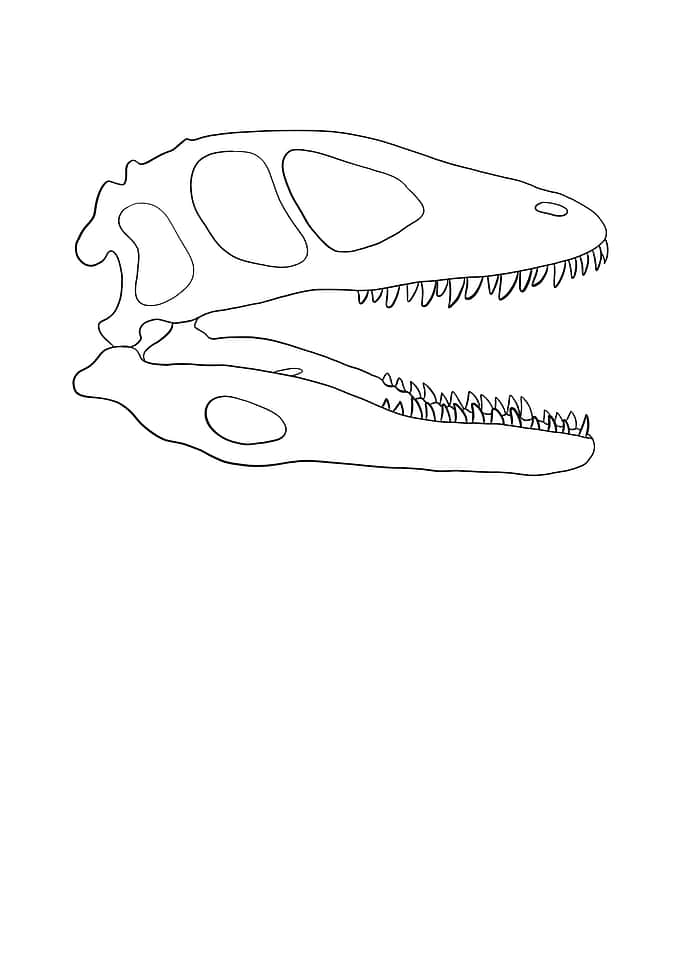 Dinosaurier Deinonychus