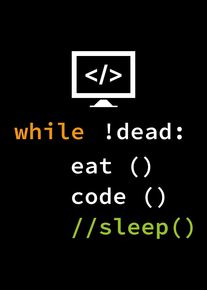 Funny Software Developer