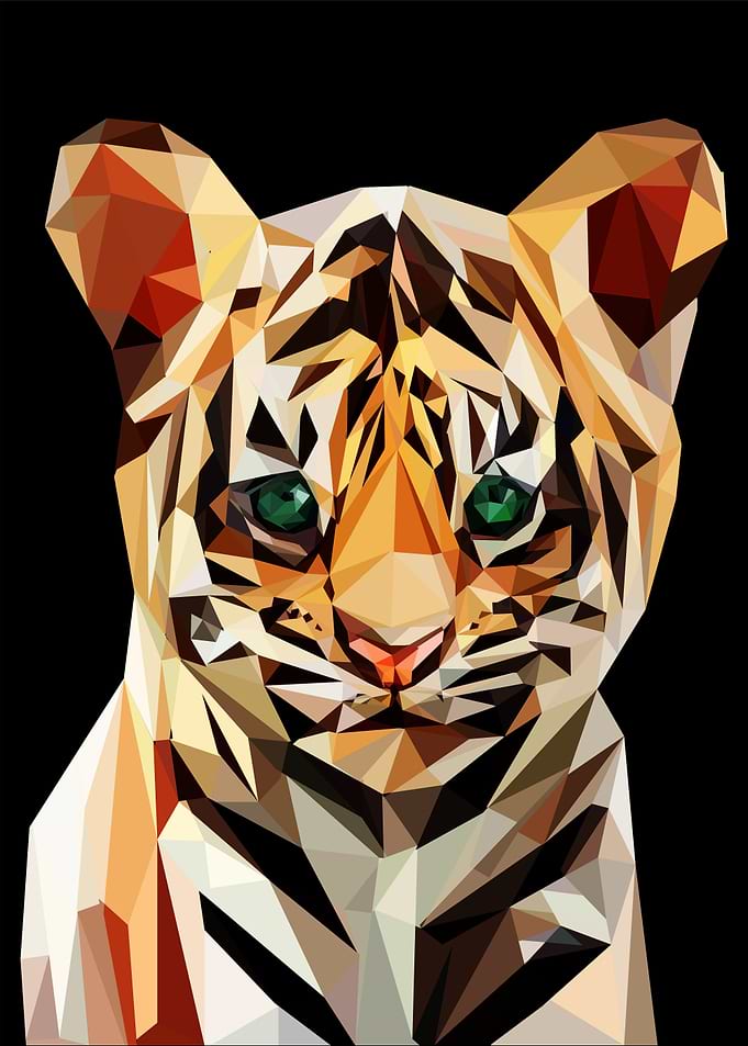 nursery animal baby tiger