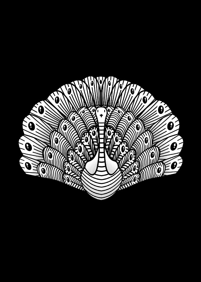 peacock art