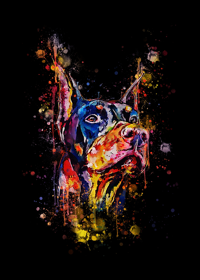 Dobermann