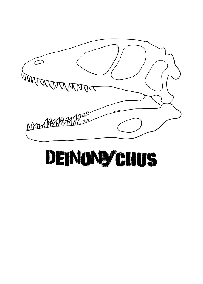 Dinosaurier Deinonychus