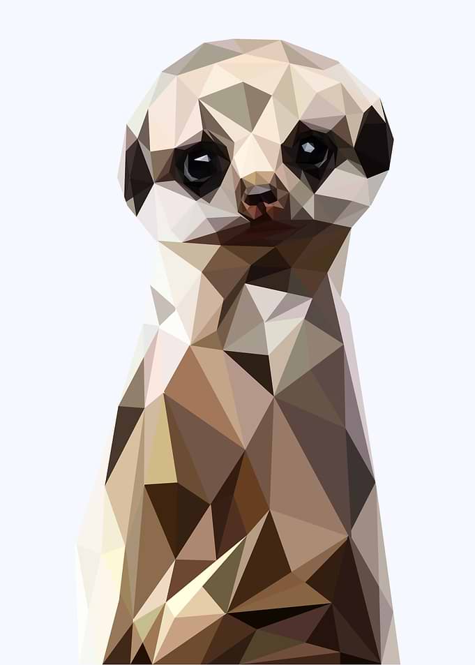 nursery animal meerkat