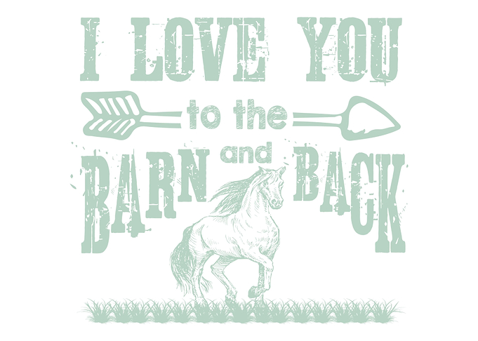 Barn Hair Dont Care Horse