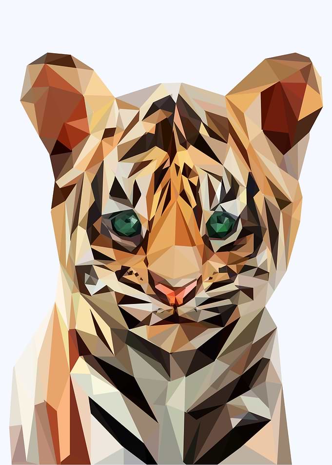 nursery animals baby tiger
