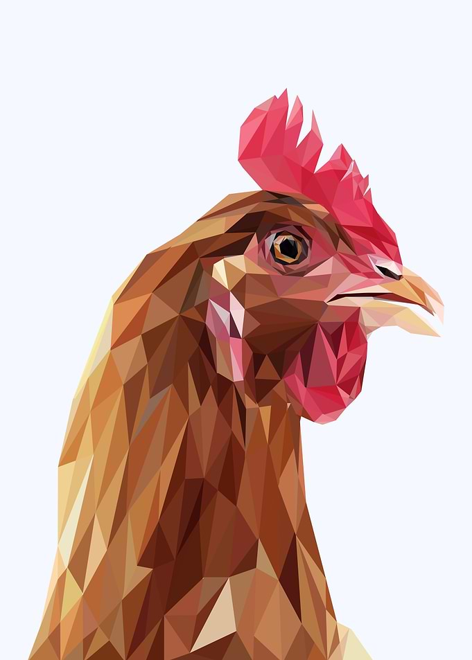 nursery animals rooster