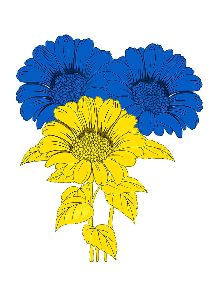 Ukraine Sunflowers