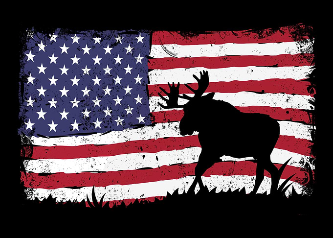 Moose Elk Hunting