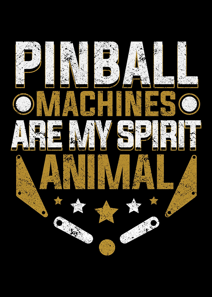Pinball Arcade Game
