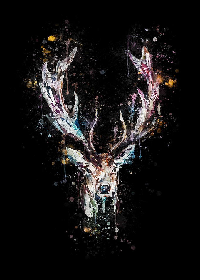 ANIMAL