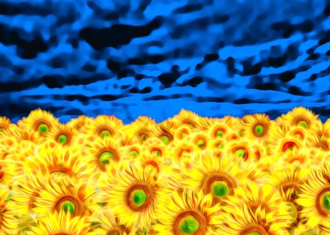 Ukraine Flag Sunflower Sky