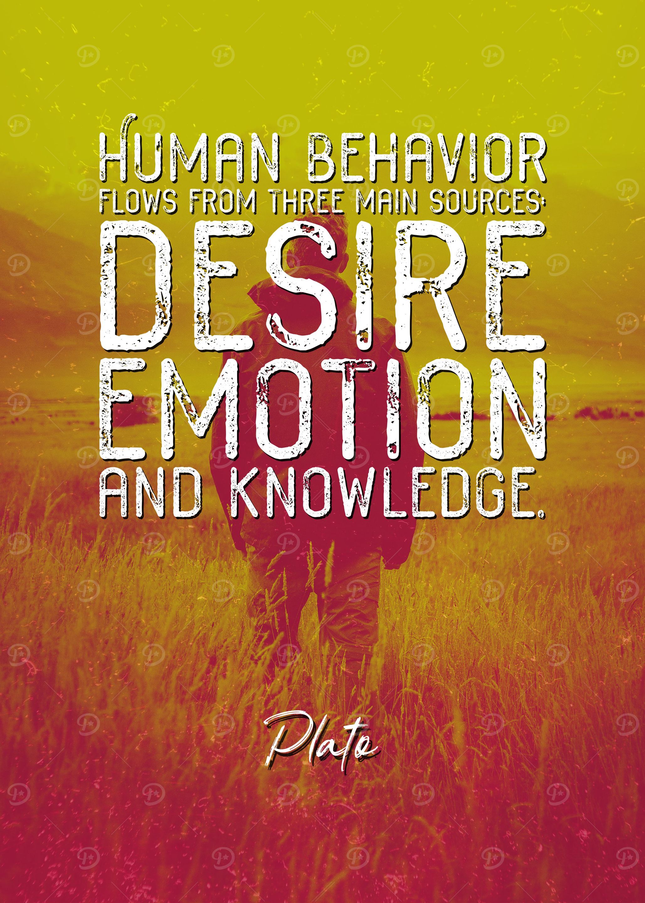 Plato Quote