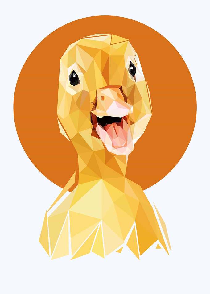 nursery animals duck