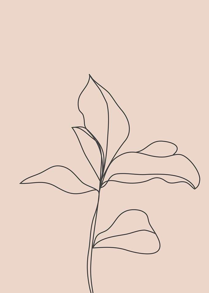 Tropical single leaf line