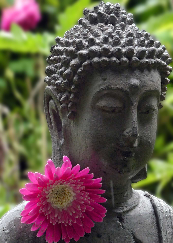 Buddha and Garvinia
