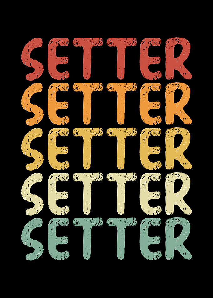 Volleyball setter retro