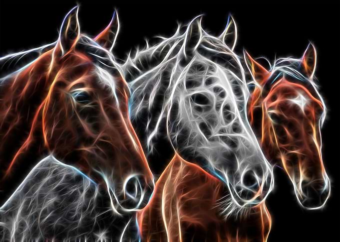 Three Horse Heads