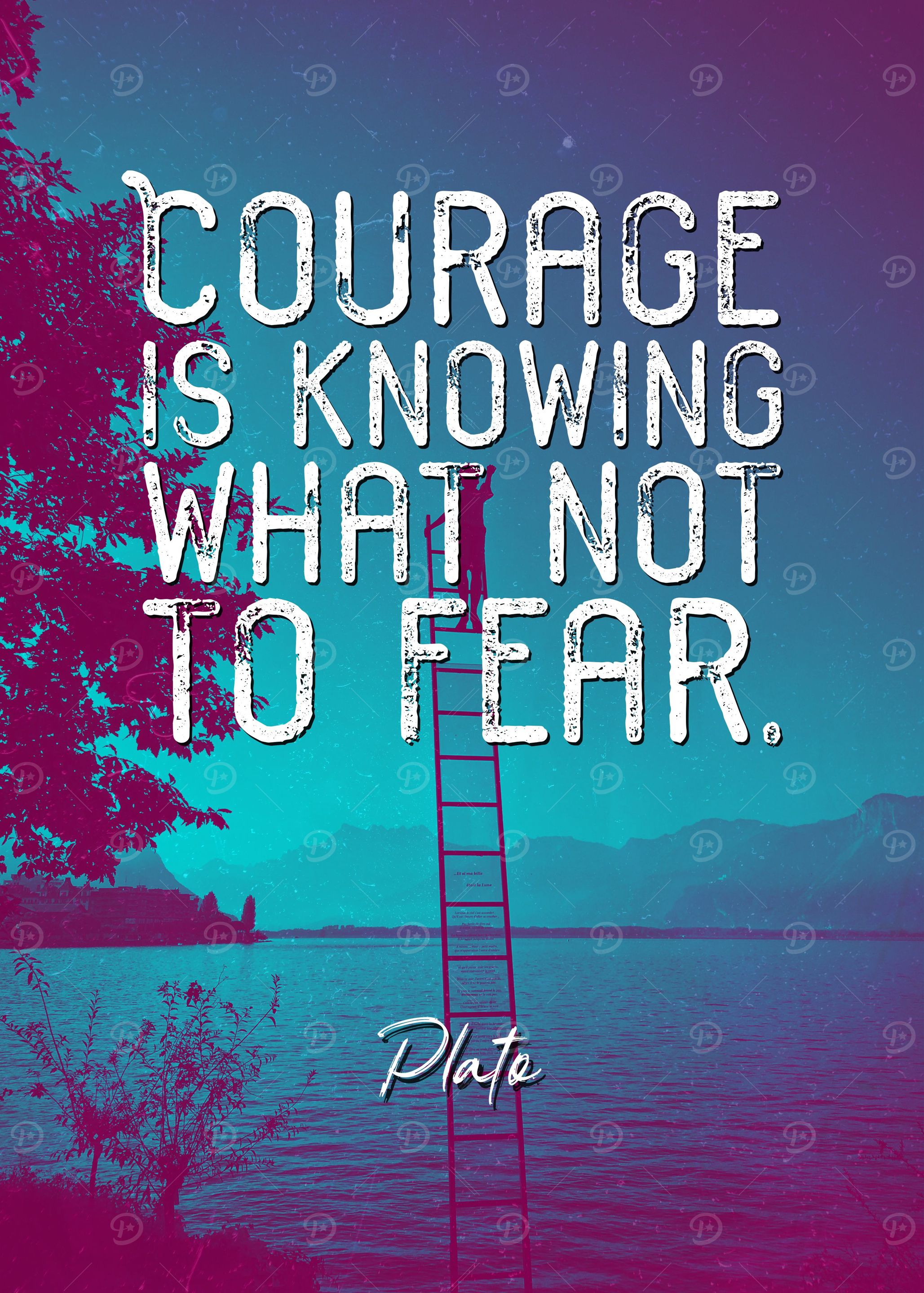 Plato Quote