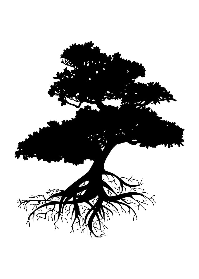 tree