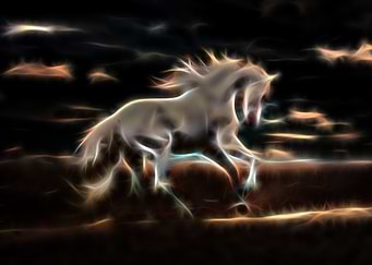 White Wild Horse