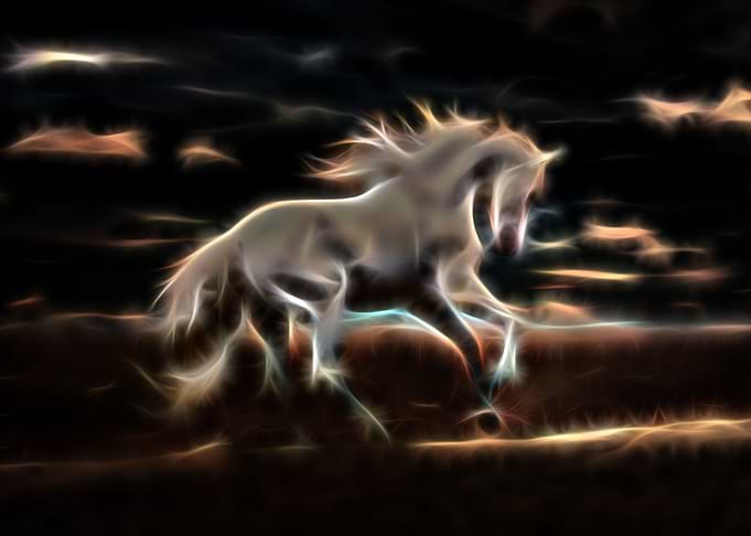 White Wild Horse