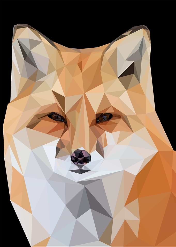 nursery animal Fox