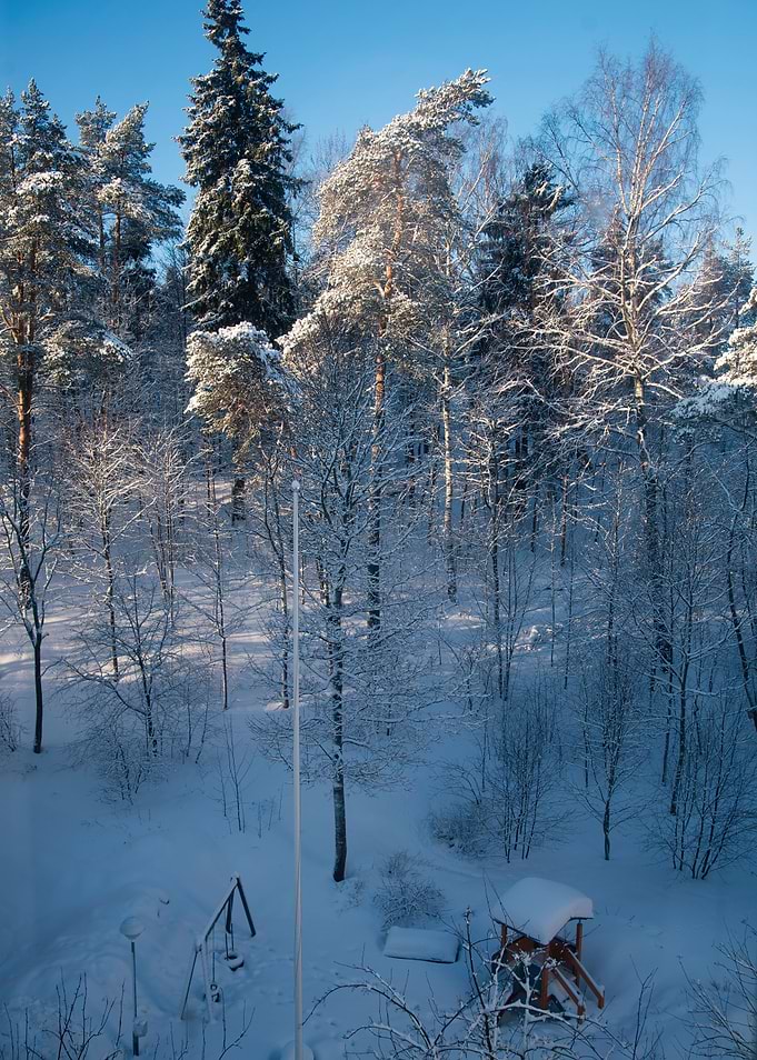 View from my window