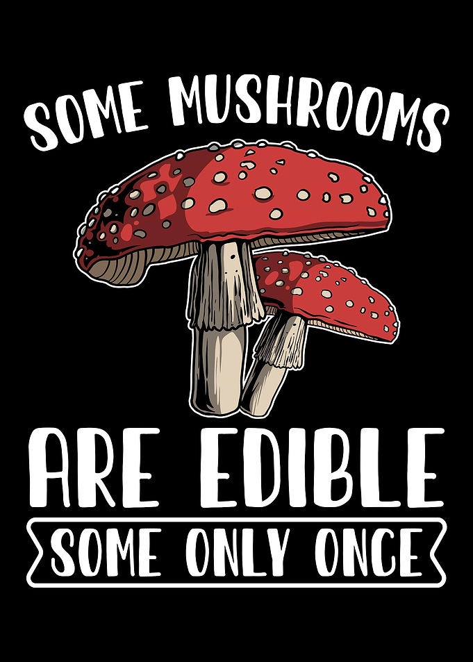 Mushroom Fungi Foraging
