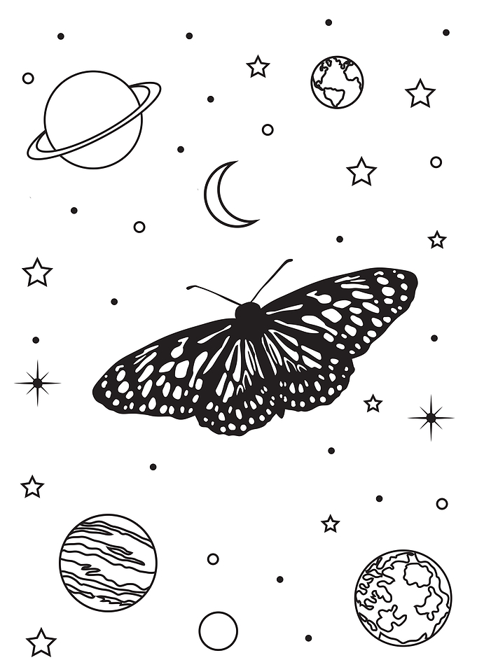 butterfly