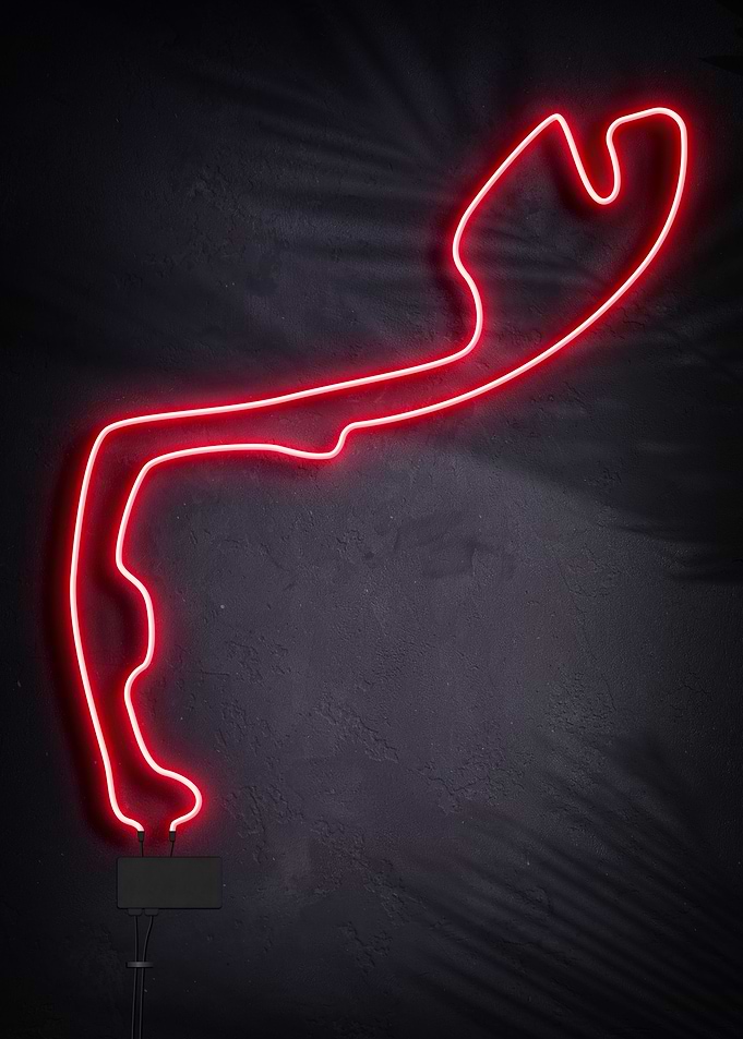 Race Track Monte Carlo