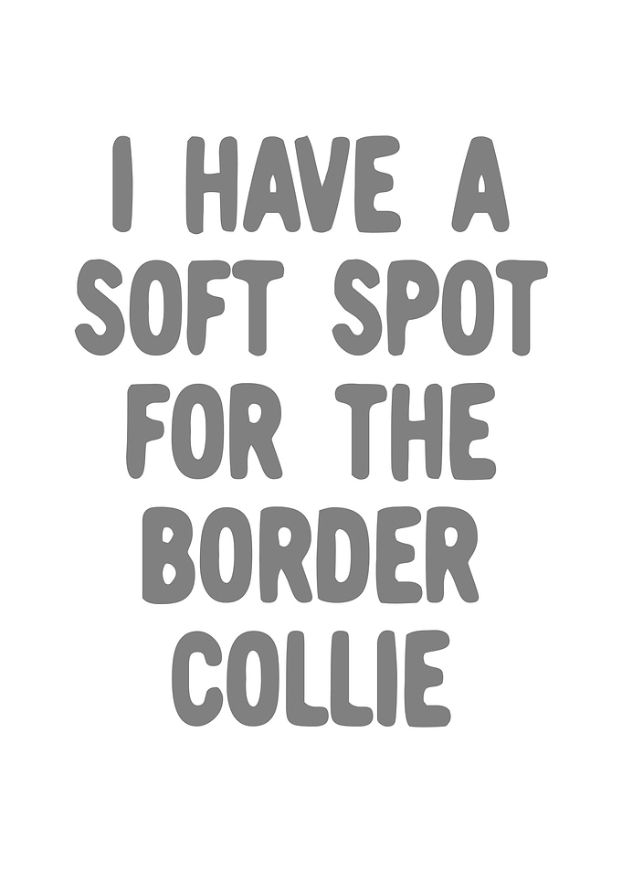 Border Collie