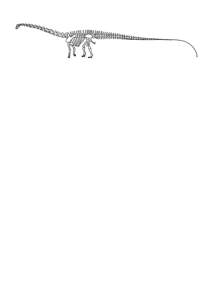 Dinosaurier Diplodocus
