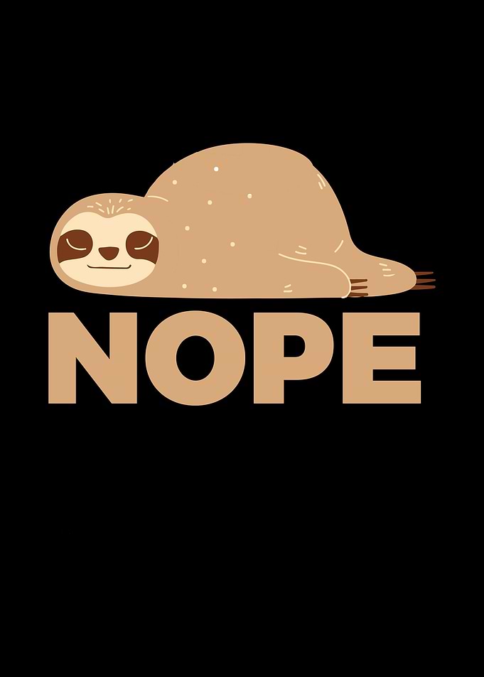 Sloth Say No