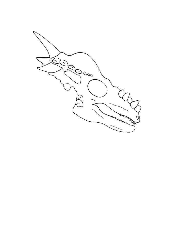 Dinosaurier Dracorex
