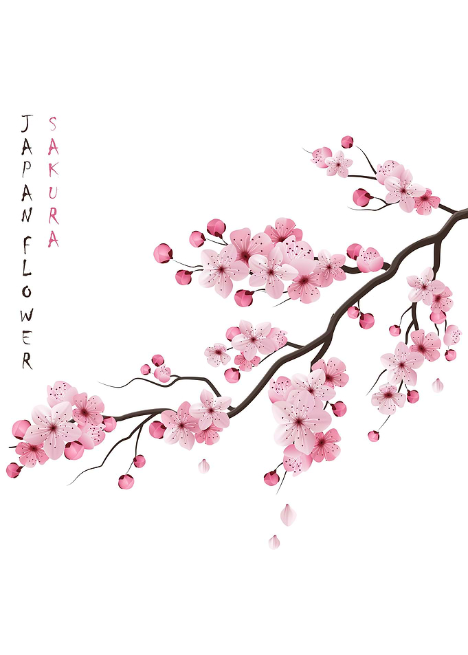 Japan Dream