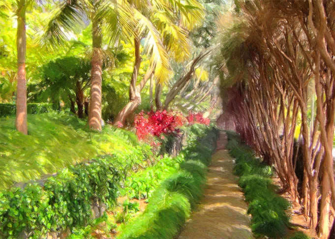 Madeira Sidewalk